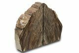 Polished Petrified Wood Bookends - Washington #297311-2